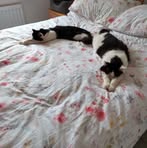 Debbie Plant - Facebook