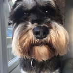 Debbie Platt - @debbie.platt.3532 - Instagram