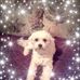 Debbie Poletto - Facebook