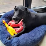 Phillips Debbie - @debbie.pollock.75 - Instagram
