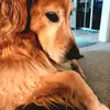 debbiepostma709 - @debbiepostma709 - TikTok