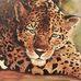Debbie Pounders Fine Art - Facebook