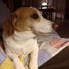 Debbie Prewitt471 - @debbieprewitt4712 - TikTok