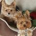 Debbie Prout - Facebook