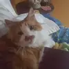 debbieraines446 - @debbieraines446 - TikTok