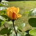 Debbie Ralph - Facebook