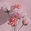 Debbie Ramos - @debbie_0215 - TikTok