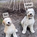 Debbie Rath - @boone_and_sonny - Instagram
