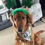 Debbie Rayburn-Childers - @debbie927 - Instagram
