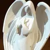 Debbie Rea - @user205939132 - TikTok