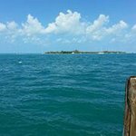 Debbie Reader - @debbiereader - Instagram