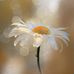 Debbie Floyd Redd - Facebook