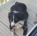 Debbie Redden - Facebook