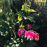Debbie Redden - @redden.debbie - Instagram