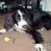Debbie Redden - Facebook