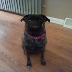 Debbie Redding - @redding9313 - Instagram