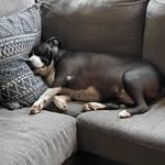Debbie Redding - @momredding55 - Instagram