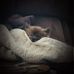 Debbie Reece - Facebook