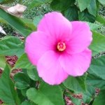 Debbie Reese - @debbiereese55 - Instagram