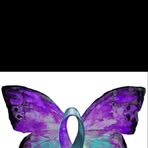 Debbie Reese - Facebook
