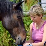 Debbie Reilly - @understanding_equus - Instagram