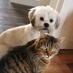 Debbie Reilly - @debbie.reilly.7547 - Instagram
