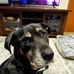 Debbie Reilly - Facebook