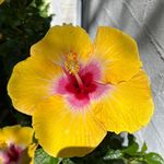 Debbie Richardson - @debbie.richardson.75457 - Instagram