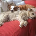 Debbie Richardson - @debbie.richardson.5682 - Instagram