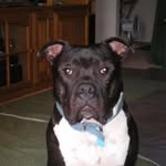 Debbie Cornelsen Ricks - @debkins55 - Instagram