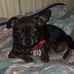 Debbie Ricks - Facebook
