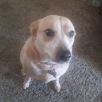 Debbie Rios - @injungrl2001 - Instagram