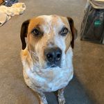 Debbie Robidoux - @drow06 - Instagram