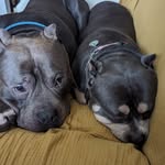 Debbie Rock - @spinitnbinit - Instagram