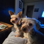 Debbie Rolfe - @drolfe2 - Instagram