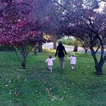 Debbie Rolfe - @rolfe.debbie - Instagram