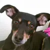 debbierolf - @debbierolf - TikTok