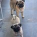 Debbie Rook - Facebook