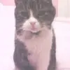 debbierooks173 - @debbierooks173 - TikTok