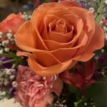 Debbie Patterson - @debbieroo.patterson - Instagram