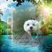 Debbie Roop - Facebook