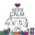 Debbie Roop - @droopindependentscentsyconsult - Instagram