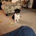 Debbie Rosa - Facebook