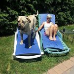 Debbie Roth - @debbie.roth.3158 - Instagram