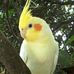 Debbie Roth - Facebook