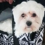 debbie rourke - @rourke_debbie - Instagram
