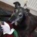 Debbie Rourke - Facebook