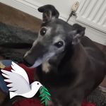 Debbie Rourke - @debbierourke123 - Instagram