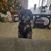 Debbie Roush - Facebook