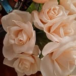 Debbie Roush - @bestbeautymakeup_4u - Instagram